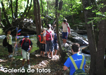 Galeria de fotos